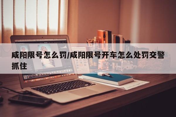咸阳限号怎么罚/咸阳限号开车怎么处罚交警抓住