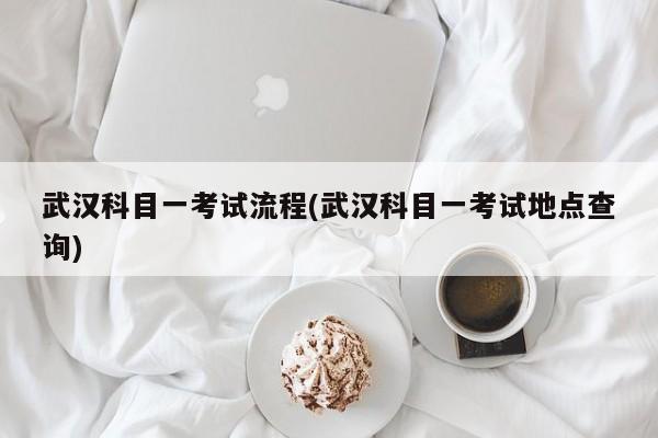 武汉科目一考试流程(武汉科目一考试地点查询)