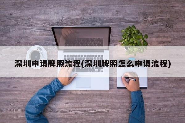 深圳申请牌照流程(深圳牌照怎么申请流程)