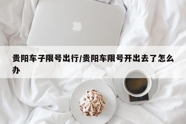 贵阳车子限号出行/贵阳车限号开出去了怎么办