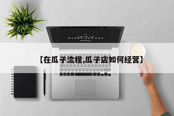 【在瓜子流程,瓜子店如何经营】