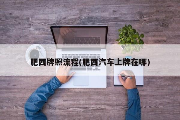 肥西牌照流程(肥西汽车上牌在哪)