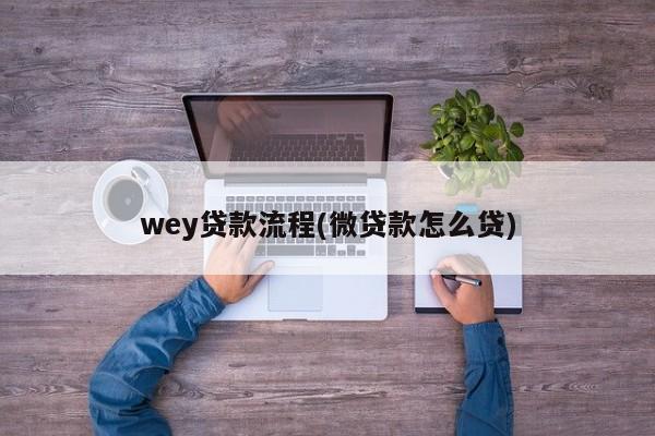 wey贷款流程(微贷款怎么贷)