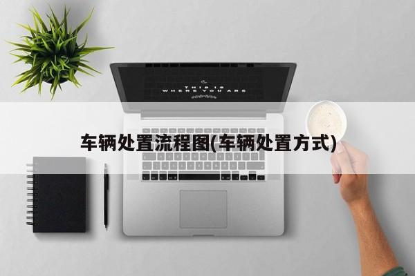车辆处置流程图(车辆处置方式)