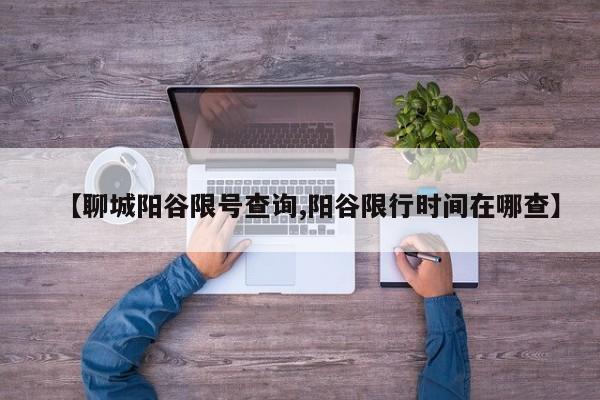 【聊城阳谷限号查询,阳谷限行时间在哪查】