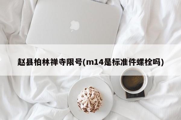 赵县柏林禅寺限号(m14是标准件螺栓吗)