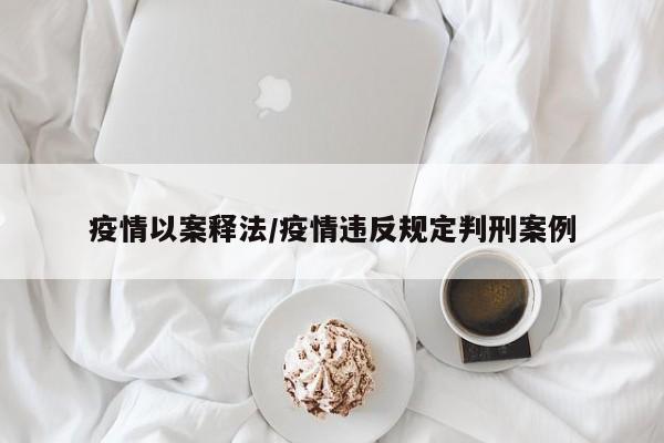 疫情以案释法/疫情违反规定判刑案例
