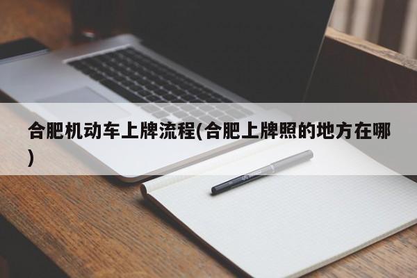 合肥机动车上牌流程(合肥上牌照的地方在哪)