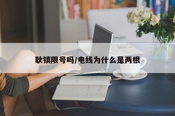 耿镇限号吗/电线为什么是两根