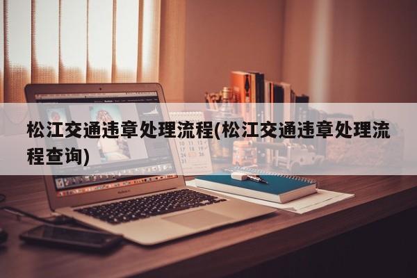 松江交通违章处理流程(松江交通违章处理流程查询)