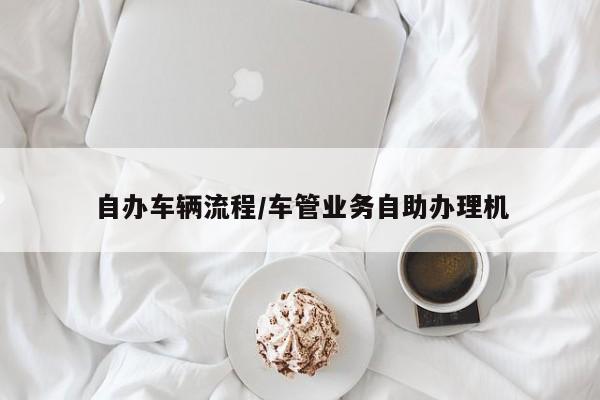 自办车辆流程/车管业务自助办理机