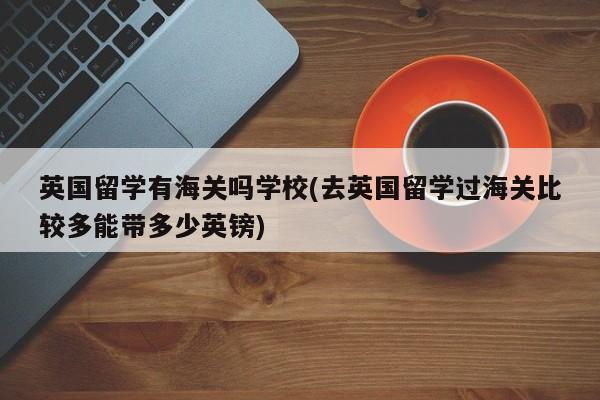 英国留学有海关吗学校(去英国留学过海关比较多能带多少英镑)