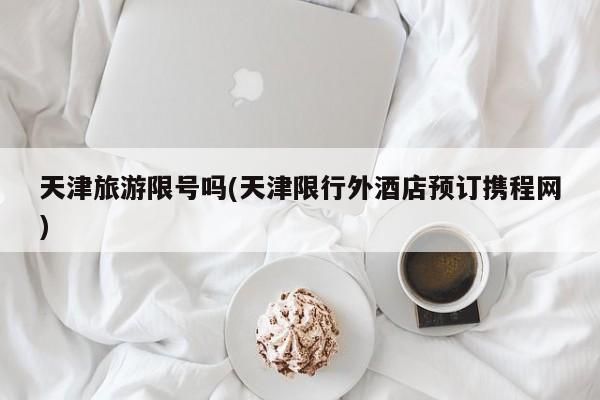 天津旅游限号吗(天津限行外酒店预订携程网)