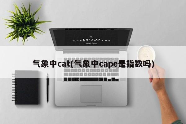 气象中cat(气象中cape是指数吗)