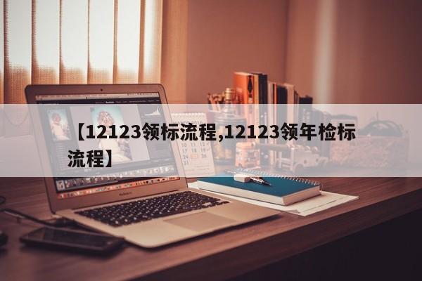 【12123领标流程,12123领年检标流程】